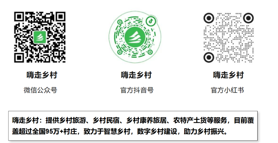 嗨走乡村宣传.png